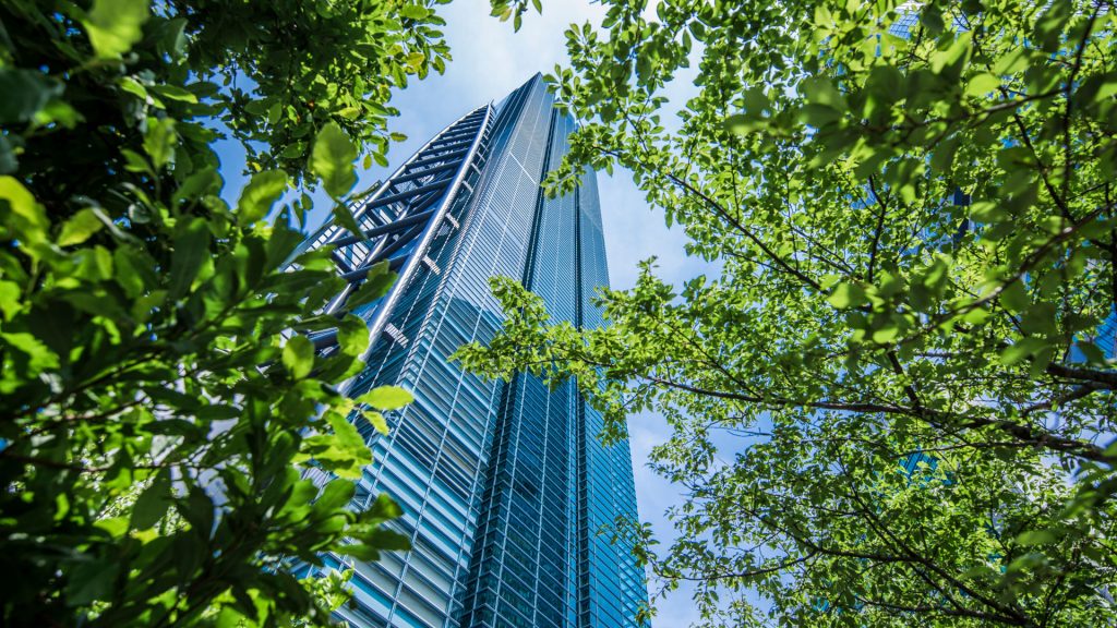 Business carbon offsetting