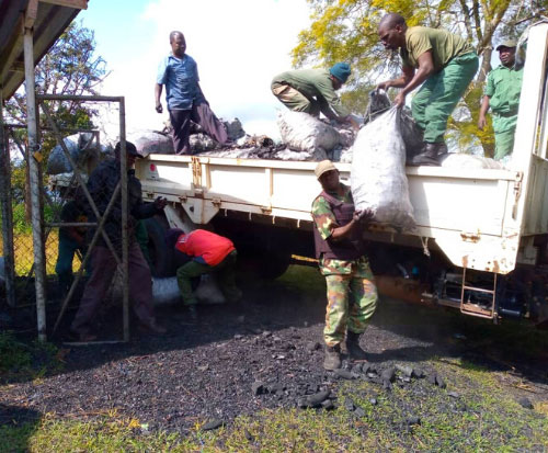 Forestry guards unload bags of charcoal confiscated in Malawi Forestry guards unload bags of charcoal confiscated in Malawi