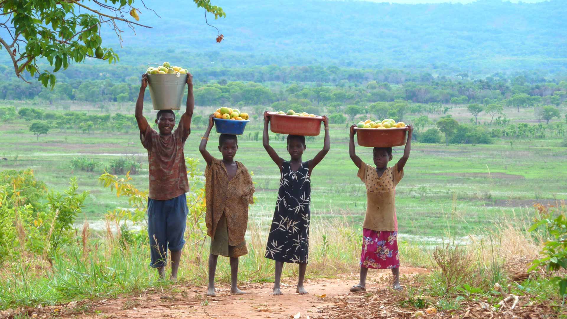 Children carry lemons on their heads in Malawi
