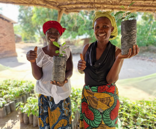 Janet and Walipa hold fruit tree seedlings in their tree nursery in Malawi