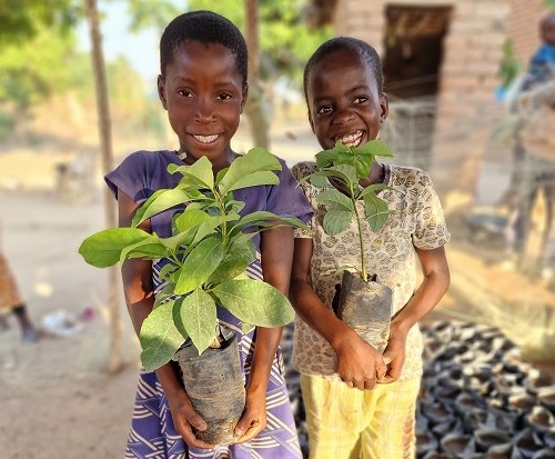 Growing fruit trees in Malawi