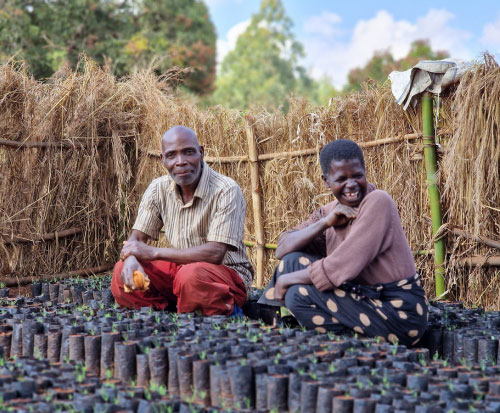Henderson and Fanny are glad to be addressing deforestation by planting trees in Malawi