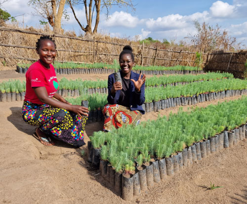 Trizah and Cecilia visit a tree nursery in Malawi