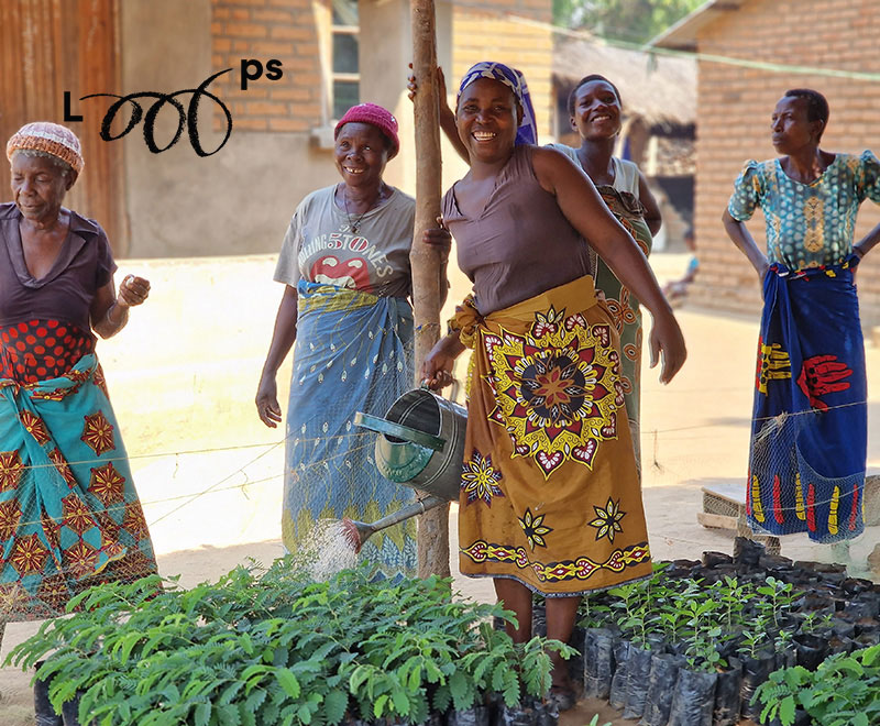 Looops are a corporate partner planting fruit trees in Malawi