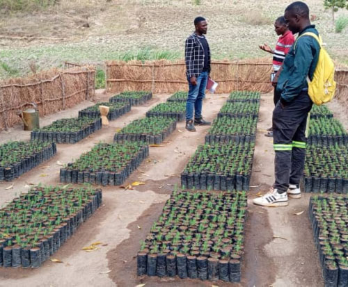 Mr Dedicated talking to Wisdom about his tree nursery in Malawi