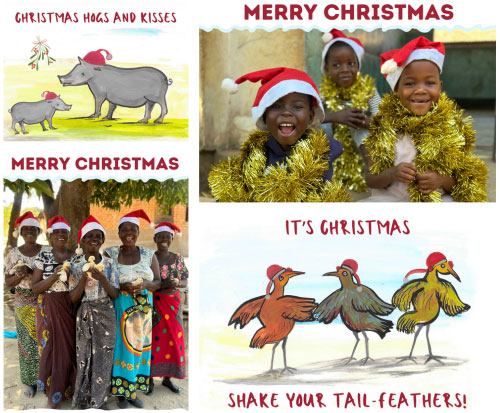 Our Christmas cards are on sale now
