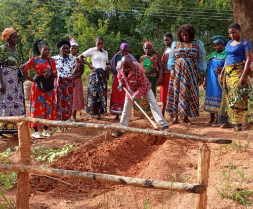 Farmers in Malawi learn about the orange fleshed sweet potatoes