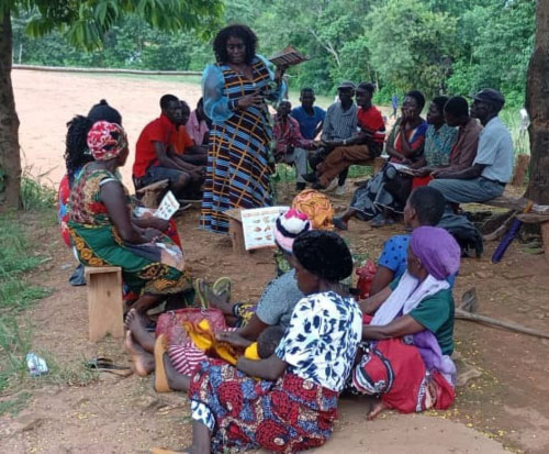 New farmers learn about the orange fleshed sweet potatoes