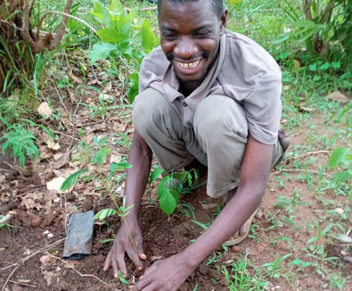 Team work as a farmer plants out a tree in Malawi