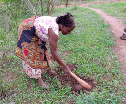 Tree farmer digging a hole to plant a tree in Malawi