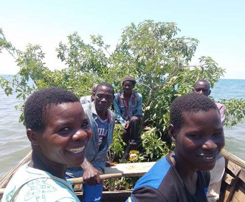 Beach Village Committee create a brush park for fish
