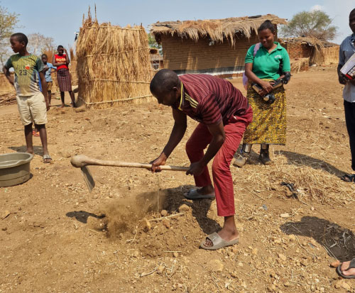Making a basin around a tree seedling in Malawi