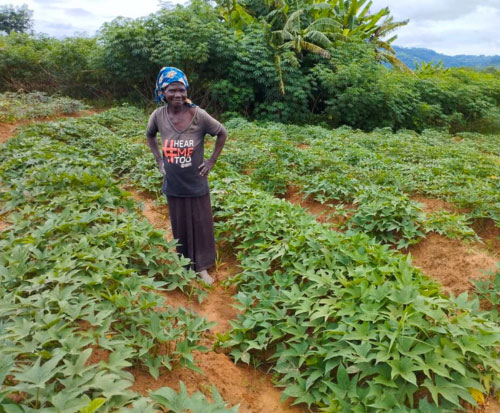 Beaming with pride in her sweet potato field in Malawi