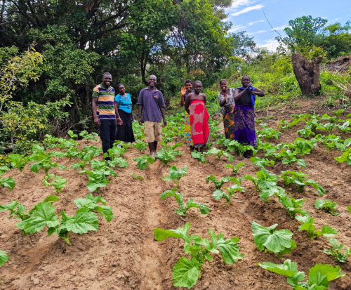 Farming futures for communities in Malawi