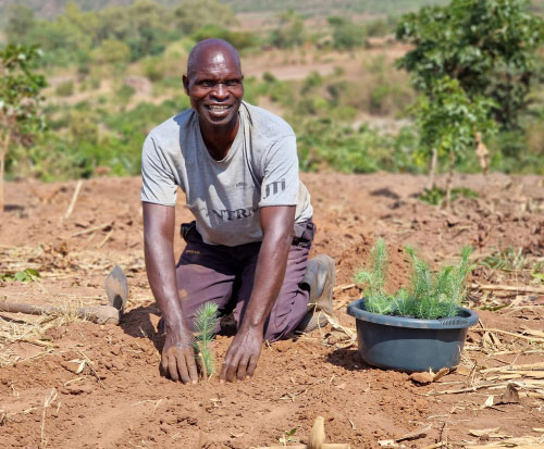 Planting trees to protect trees in Malawi