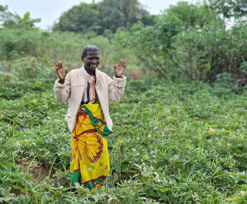 Praising the rain so that her sweet potatoes grow