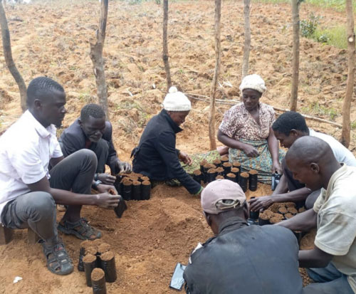 New tree farmers fill planting pots in Malawi