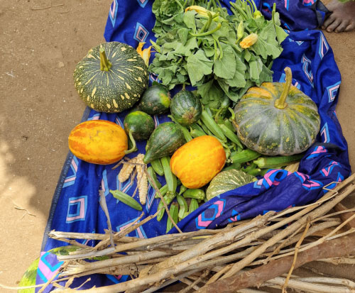 Stella shows what she has brought back from the farm in Malawi
