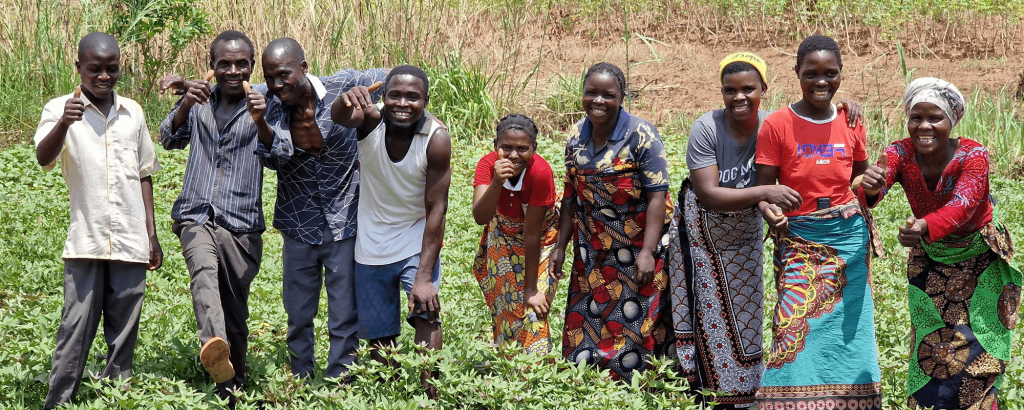 Sweet potato farmers in Malawi
