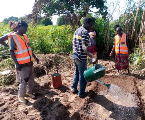 Team work by the Beach Village Committees learning to grow vegetables