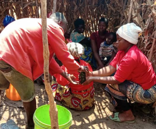 Team work to raise 12000 tree seedlings in Malawi