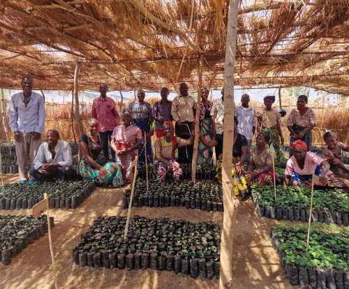 One happy community tree club in Malawi