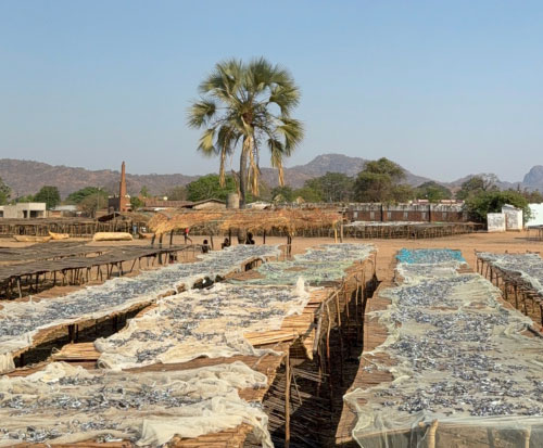 Chilimba Beach Village Committee rental drying racks