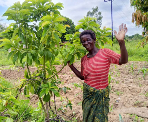 Grades stood alongside her avocado tree from her growing the future club
