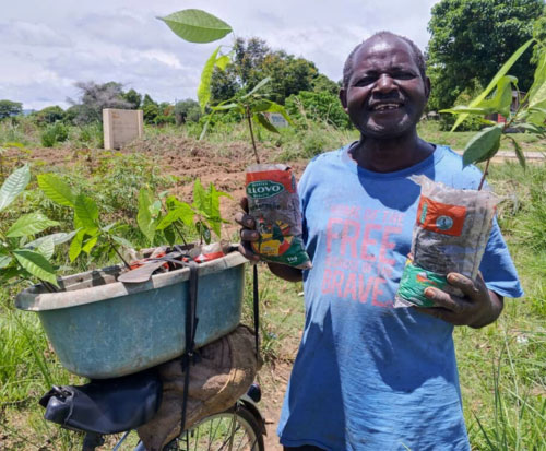 Josef holding seedlings in his repurposed planting tubes