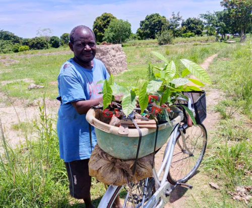 Josef with his wheelbarrow of seedlings ready for planting