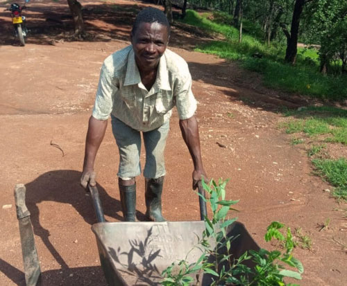 Yesaya with his wheelbarrow of seedlings on his way to plant them out