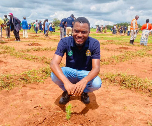 A coordinator plants a tree seedling