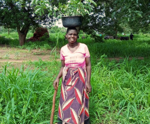 Alinafe is carrying her tree seedlings ready to plant in Malawi