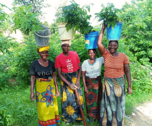 Aveness, Lodesi, Enala, and Christina are some of the tree planting beneficiaries