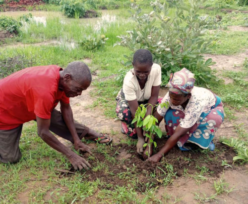 Tigwilizane Club members planting a seedling together