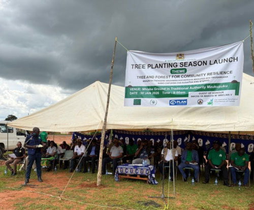 Tree planting season launched