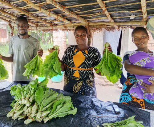 Club members selling vegetables at market