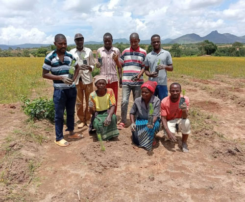 Kajombo Club gathered together with seedlings