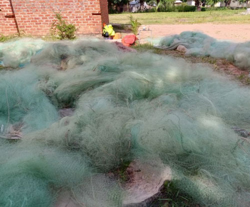 More confiscated monofilament nets