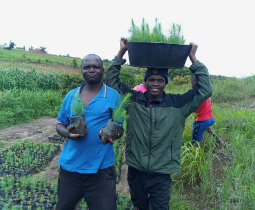 Mr Mwale holding his seedlings