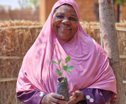 2025 26 Tree Planting and Forest Conservation Report