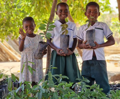 2025 Fruit Tree and Farming Report