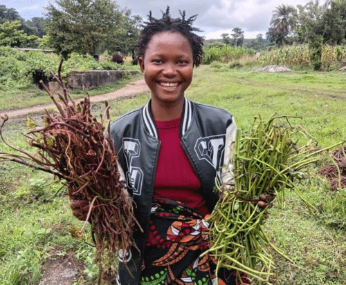 Farmer holding her bundles of sweet potato vines