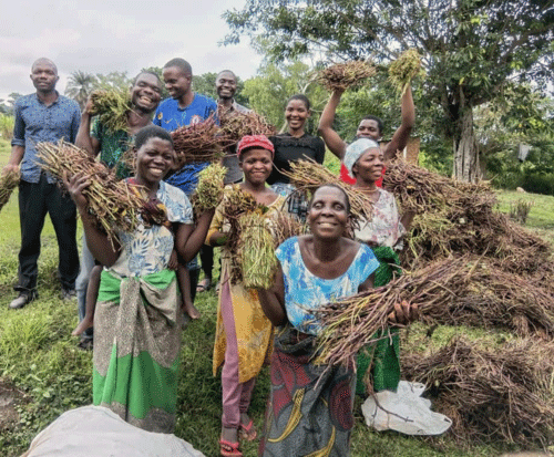 Farmers gather together smiling with their sweet potato vines