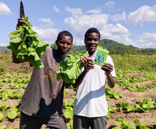 Club members happy with their vegetables