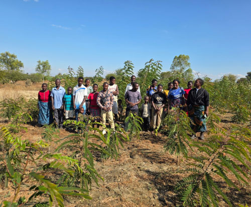 Lazaro, Joyce and their family in their planted trees