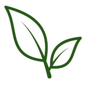 Leaf logo