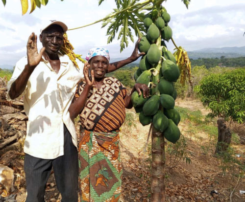 Fayida and Suza Banda stood next to their papaya tree