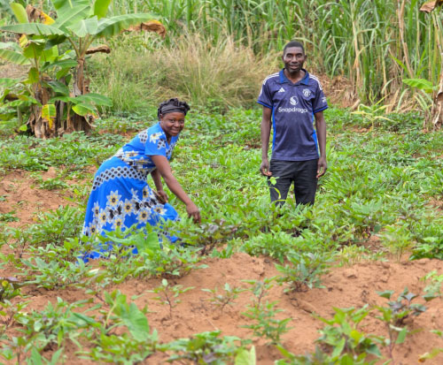 Maria and Joseph are farming role models