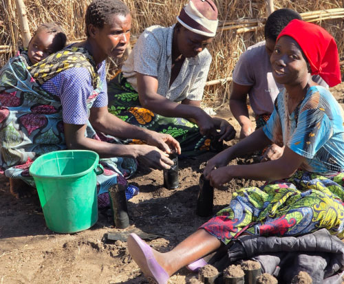 Team work to plant trees in Malawi